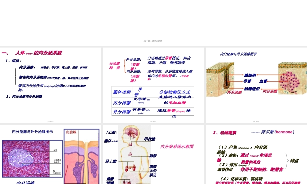 2022年医学专题—第三节---高等动物的内分泌系统与体液调节2017.ppt