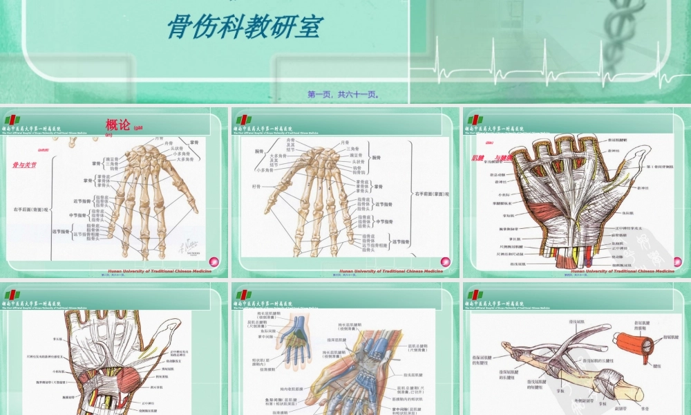 2022年医学专题—第三节腕、手部筋伤.ppt