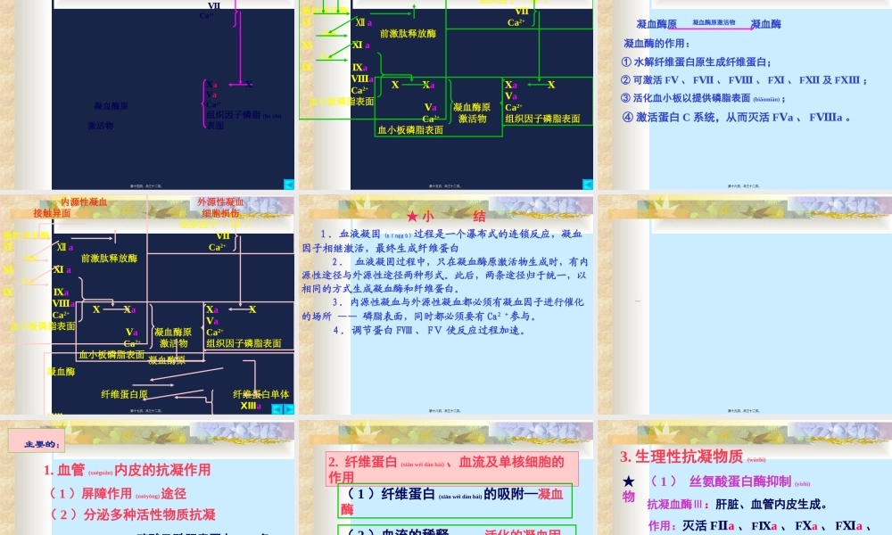 2022年医学专题—第三节血液凝固.ppt