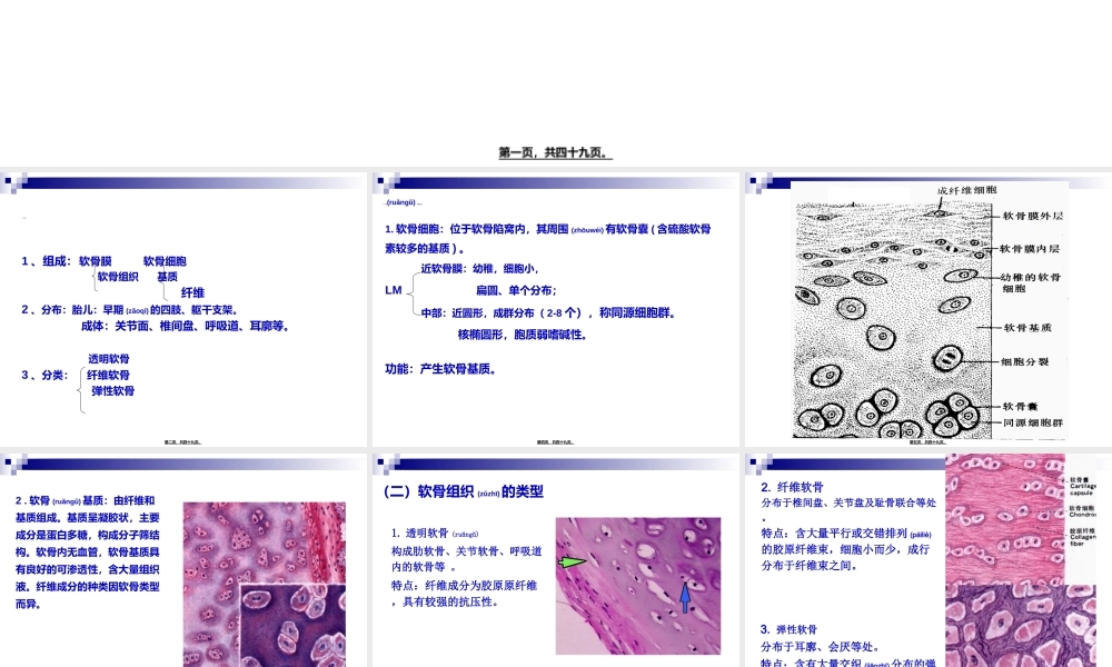 2022年医学专题—第三讲-软骨、骨、血液.ppt
