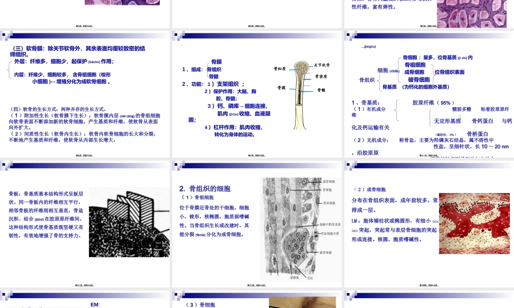 2022年医学专题—第三讲-软骨、骨、血液.ppt
