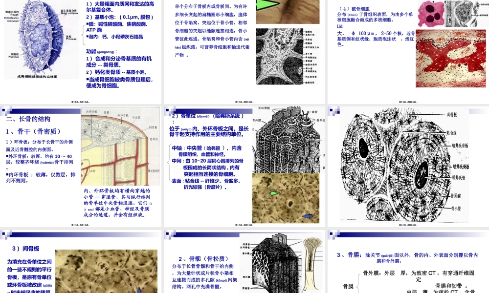 2022年医学专题—第三讲-软骨、骨、血液.ppt