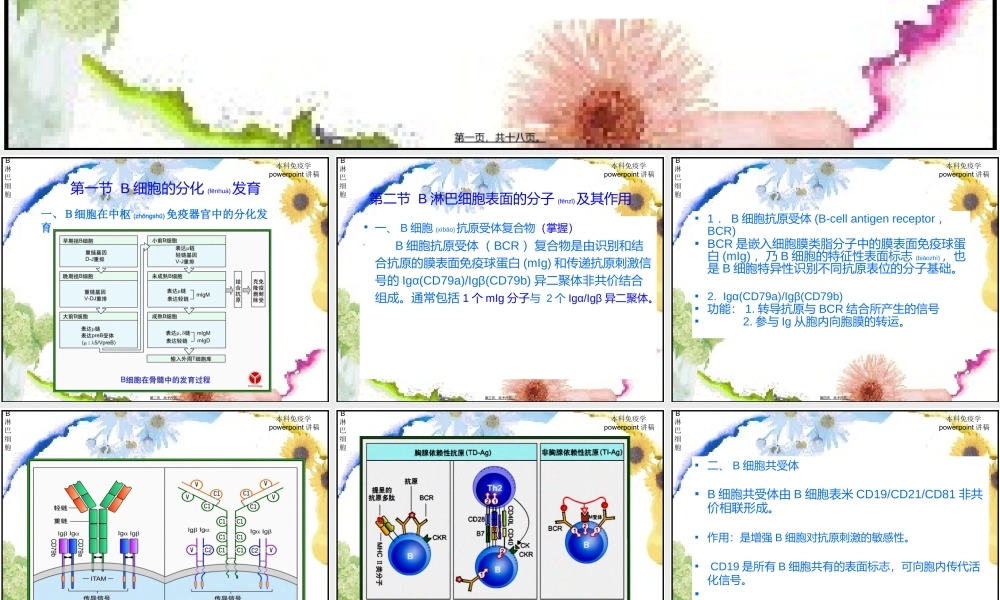 2022年医学专题—第九章-B淋巴细胞2009.01.ppt