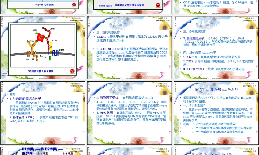 2022年医学专题—第九章-B淋巴细胞2009.01.ppt