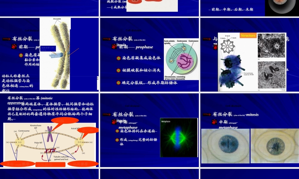 2022年医学专题—第九章-细胞分裂与细胞周期4.ppt