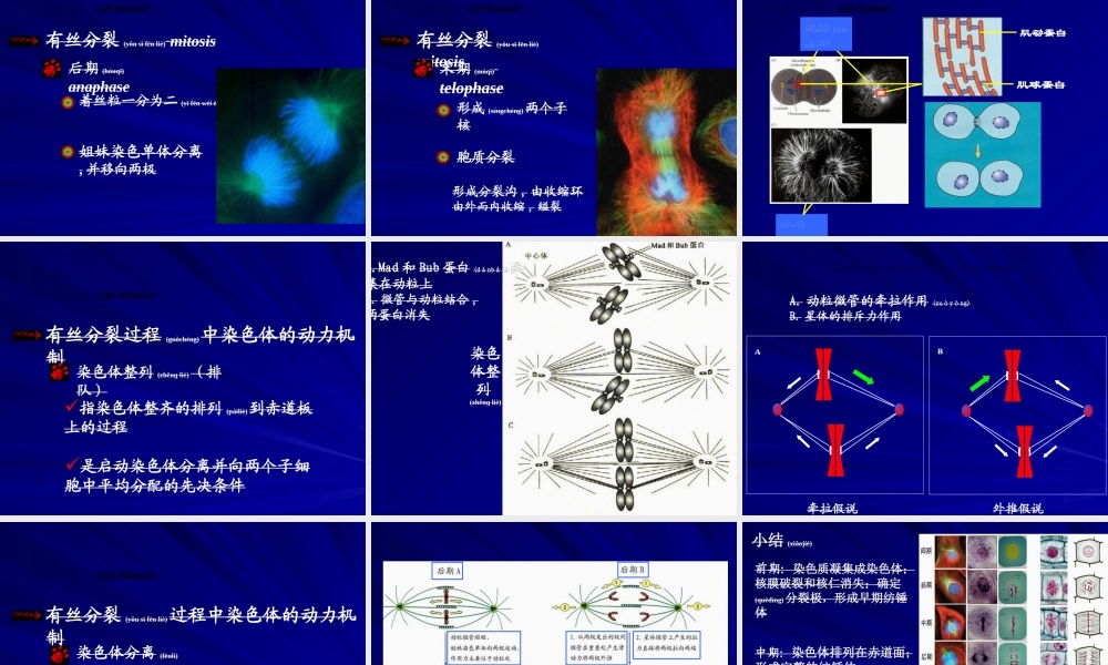 2022年医学专题—第九章-细胞分裂与细胞周期4.ppt