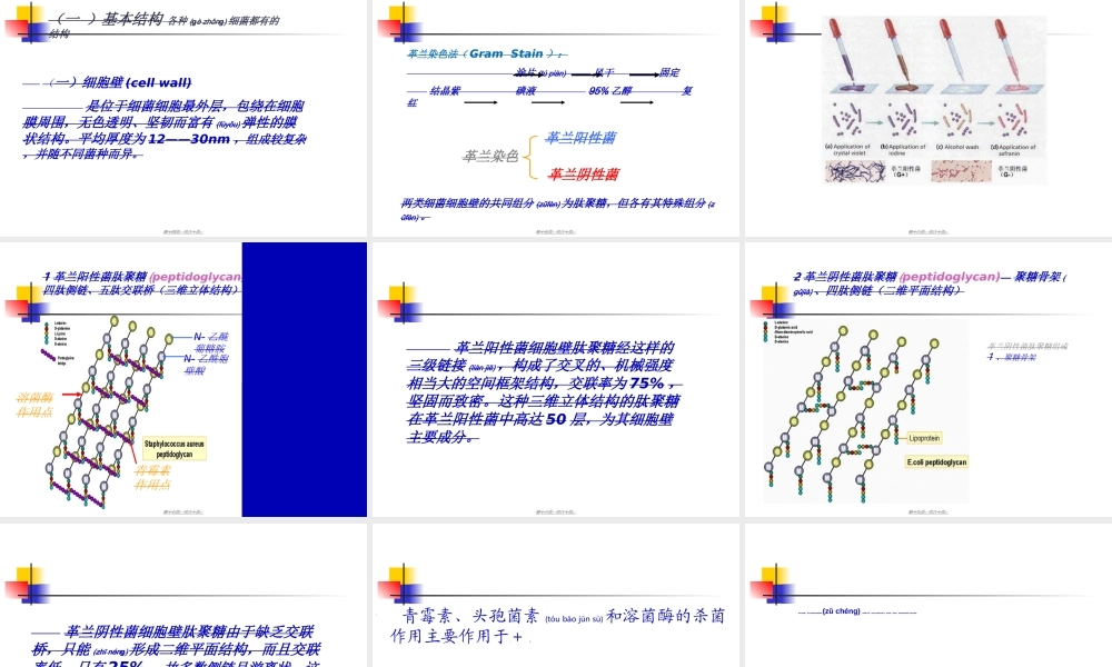2022年医学专题—第二章：细菌的基本性状--细菌形态学.ppt
