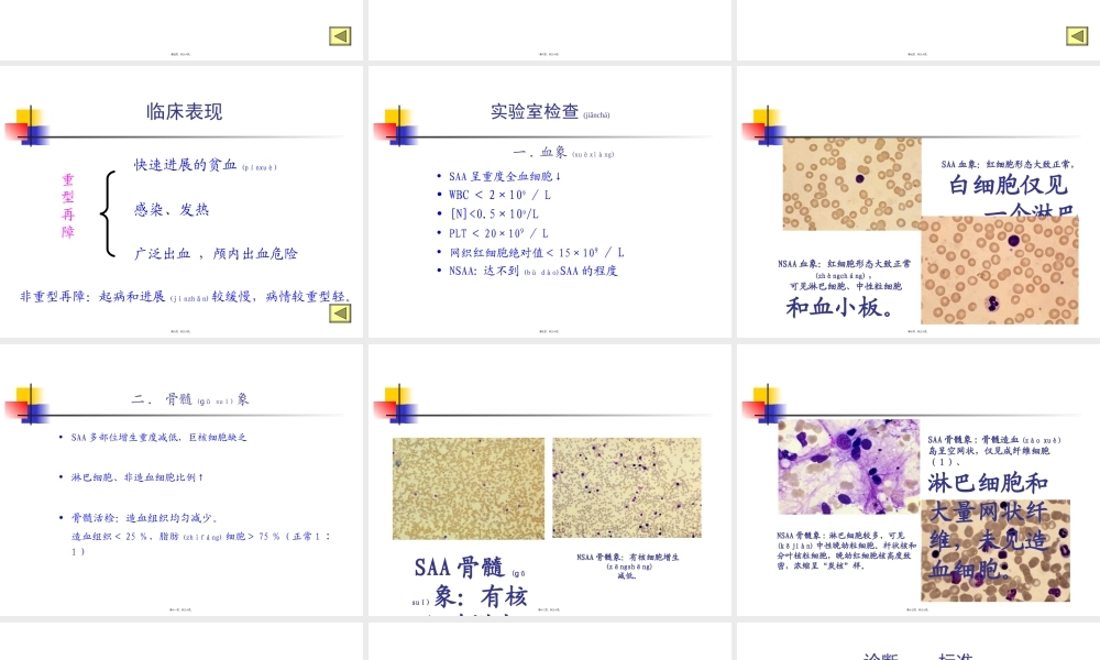 2022年医学专题—第六篇第五章再生障碍性贫血.ppt