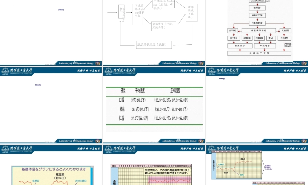 2022年医学专题—第十三节生命体征.ppt