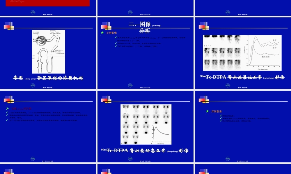 2022年医学专题—第十五节-泌尿系统.ppt