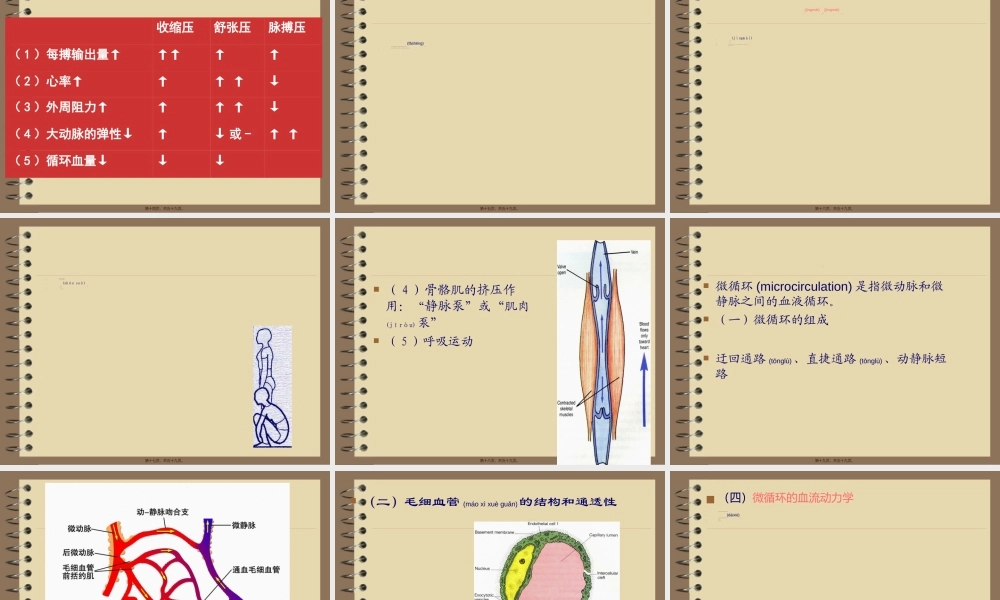 2022年医学专题—第四章-循环系统(血管生理).ppt