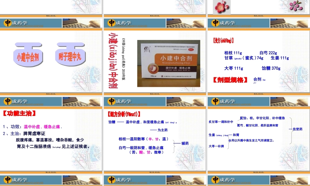 2022年医学专题—第章温里中成药.ppt