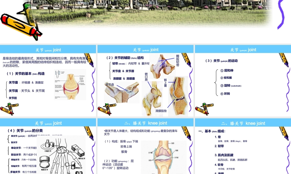 2022年医学专题—系解pbl--膝关节.ppt
