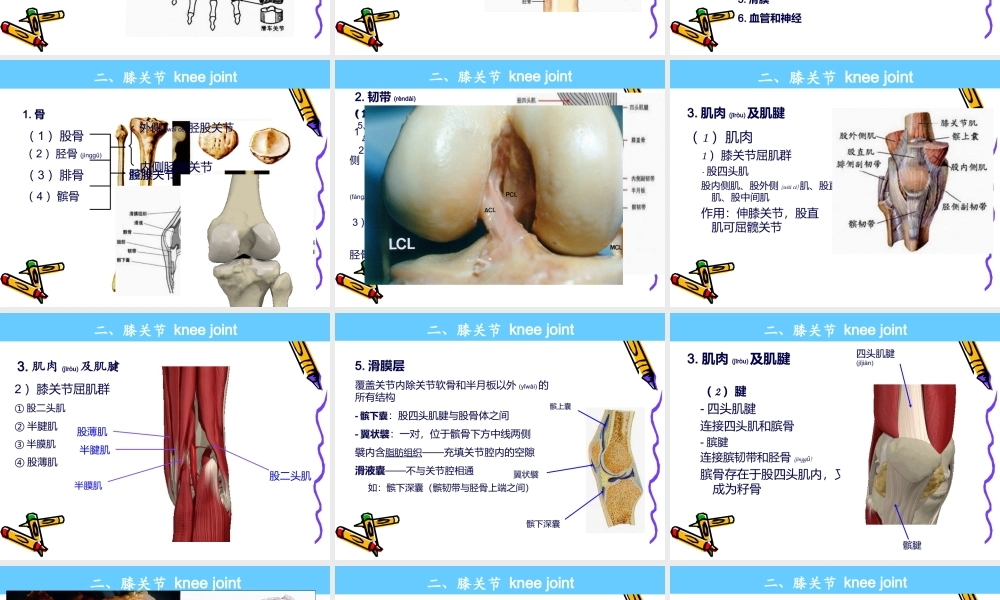 2022年医学专题—系解pbl--膝关节.ppt