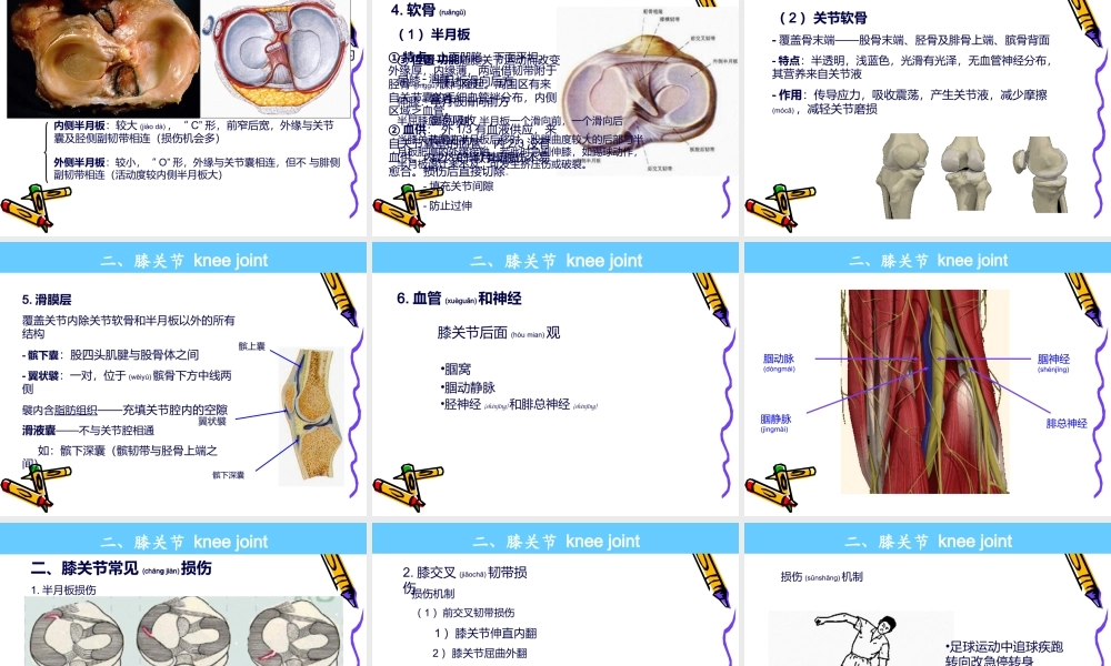 2022年医学专题—系解pbl--膝关节.ppt