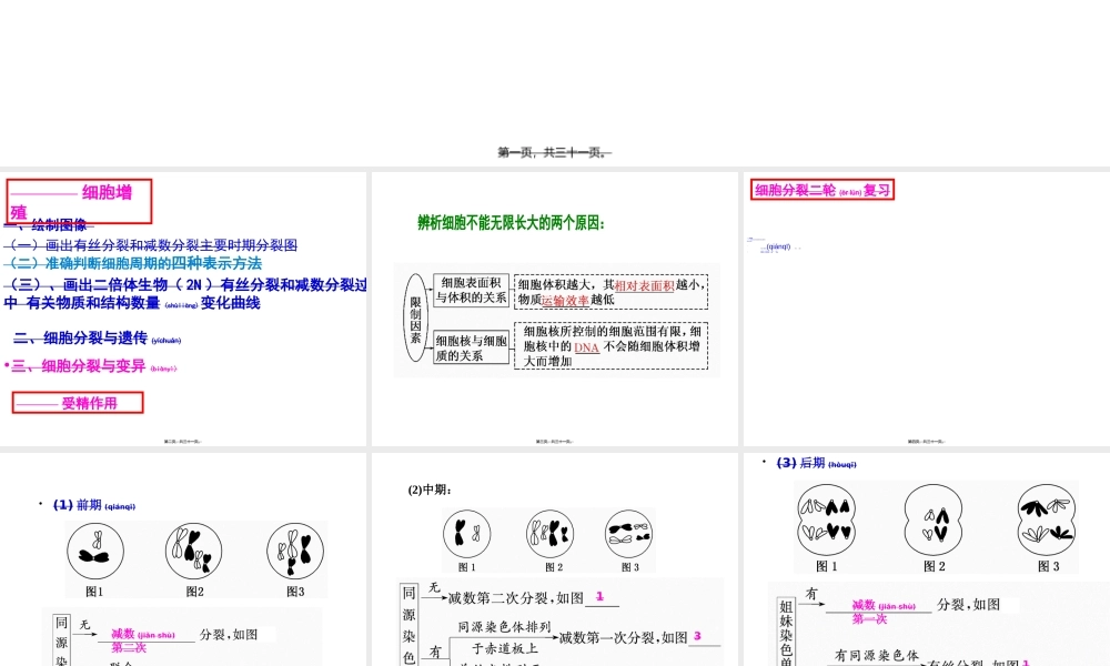 2022年医学专题—细胞分裂二轮复习.ppt