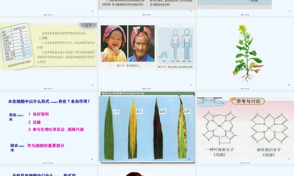 2022年医学专题—细胞元素化合物.ppt