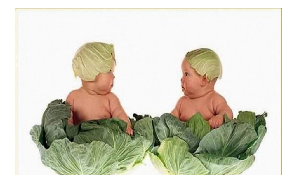 2022年医学专题—细胞和组织的适应与损伤-2.ppt