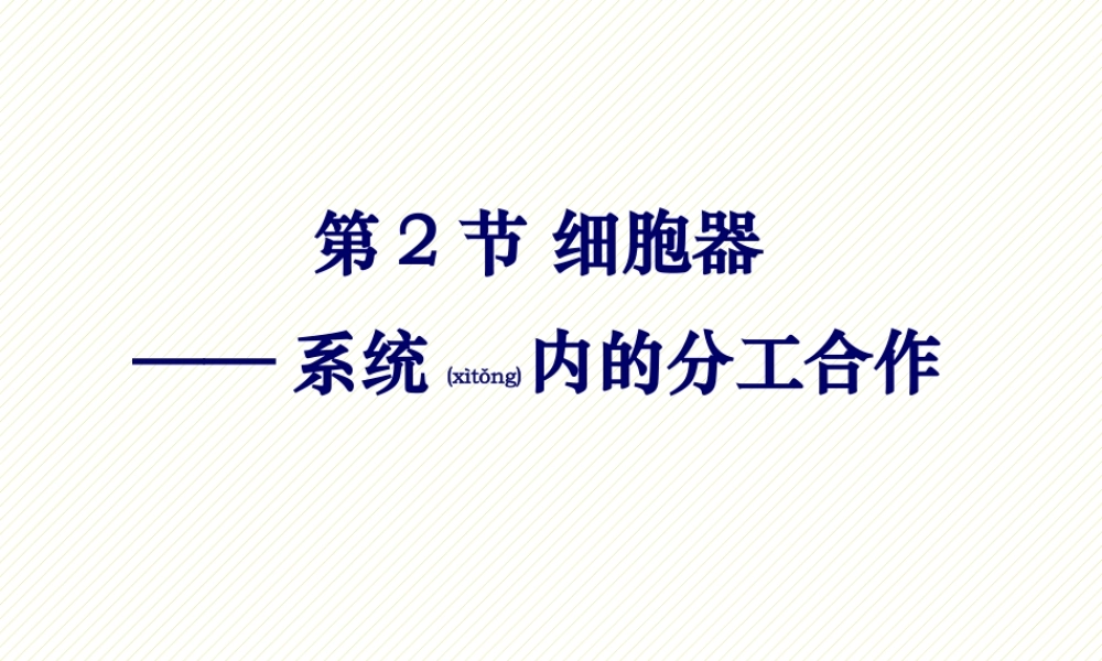 2022年医学专题—细胞器.pptx