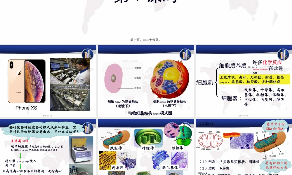 2022年医学专题—细胞器——系统内的分工合作(第1课时).pptx