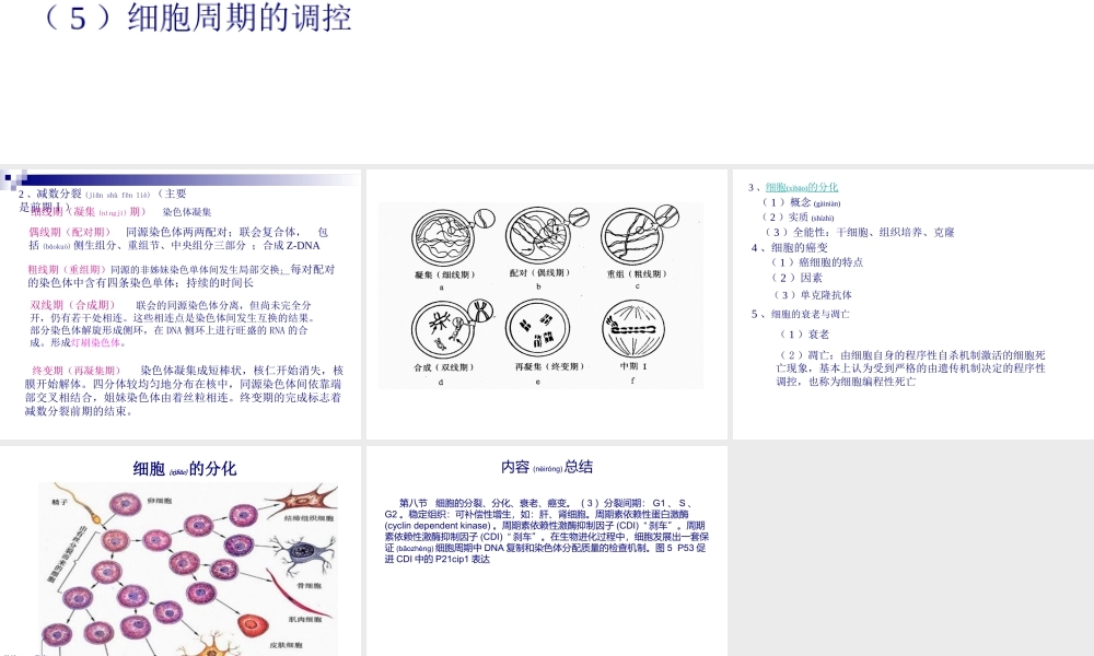 2022年医学专题—细胞增殖-分化-衰老.ppt