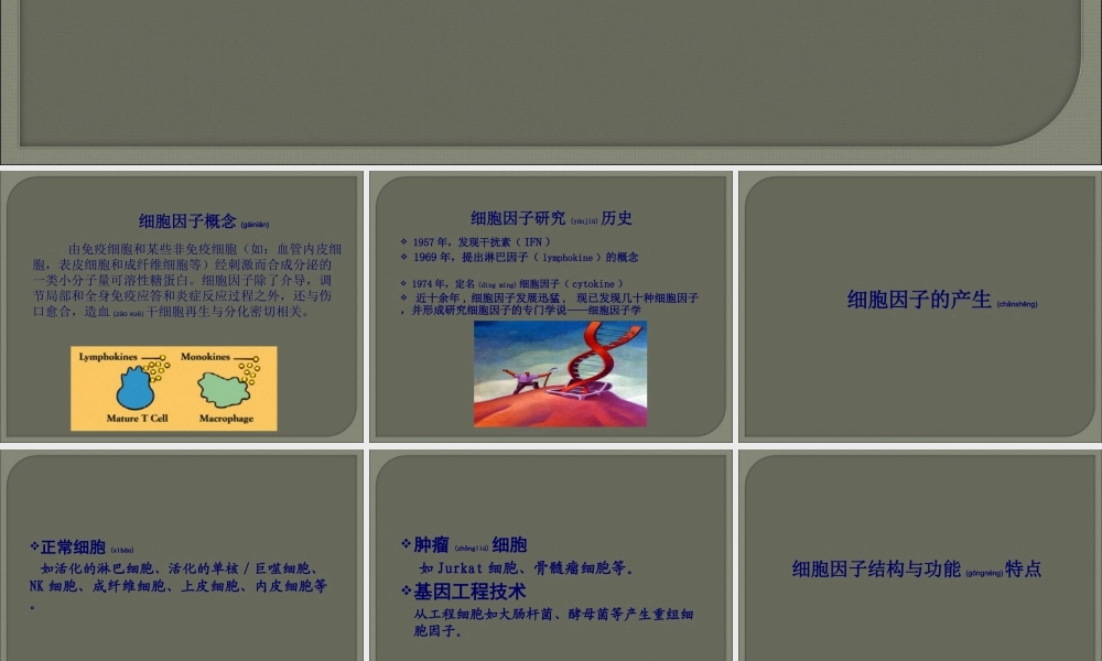 2022年医学专题—细胞因子的简介.ppt