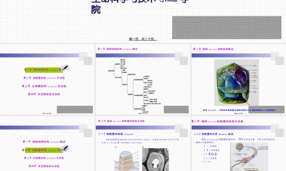 2022年医学专题—细胞壁的亚显微结构图解.ppt