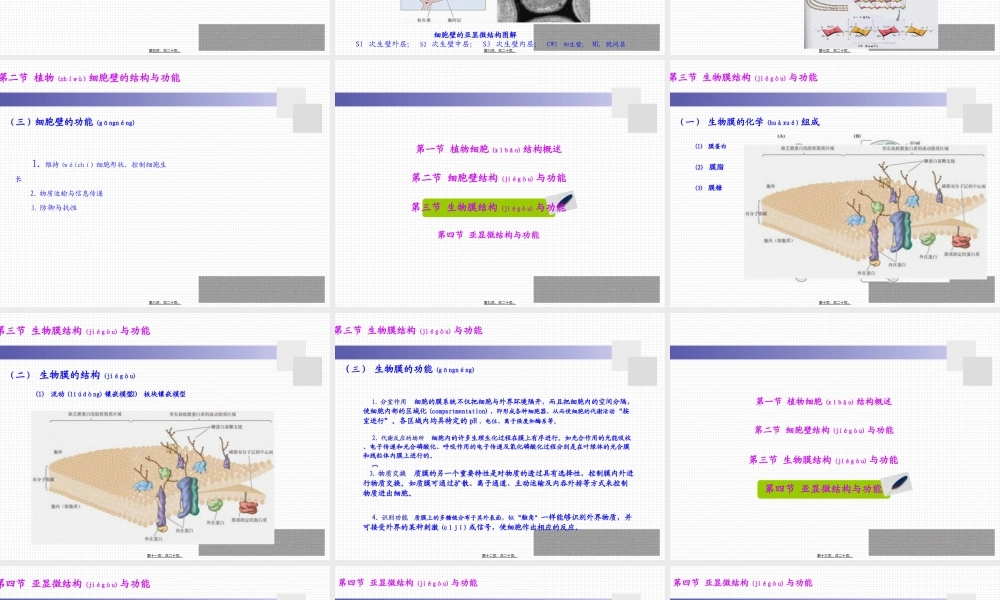 2022年医学专题—细胞壁的亚显微结构图解.ppt