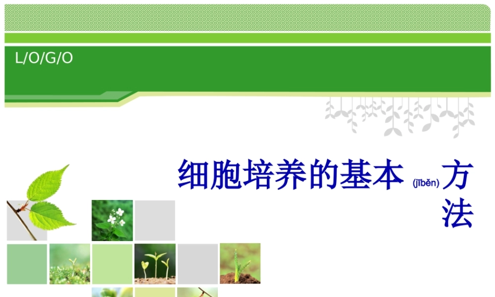 2022年医学专题—细胞培养的基本方法.ppt