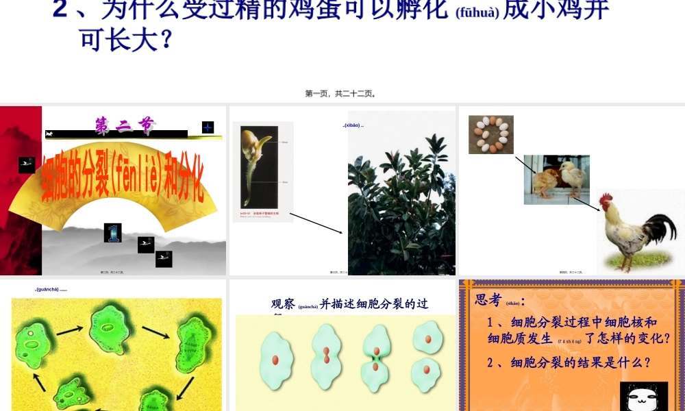 2022年医学专题—细胞的分裂观察变形虫的细胞分裂.ppt