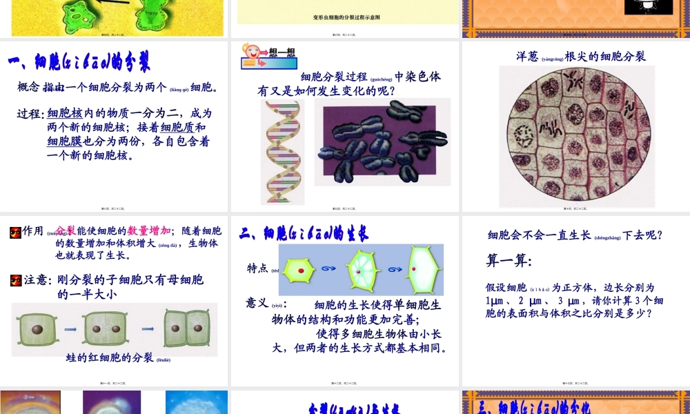 2022年医学专题—细胞的分裂观察变形虫的细胞分裂.ppt