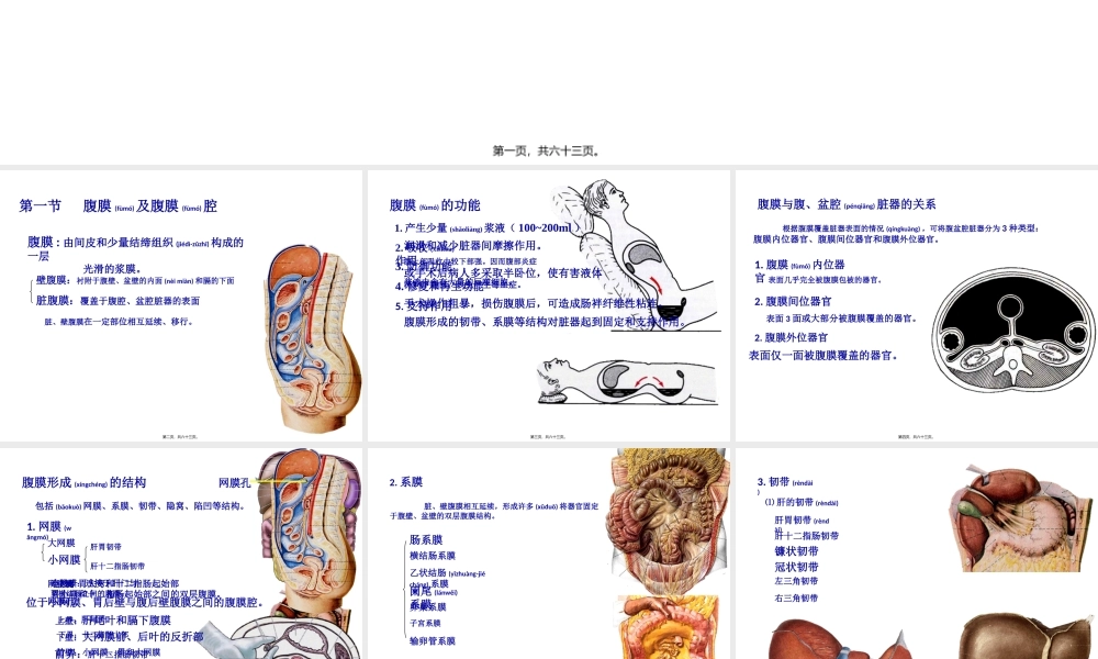 2022年医学专题—结肠上区(一)局解.ppt