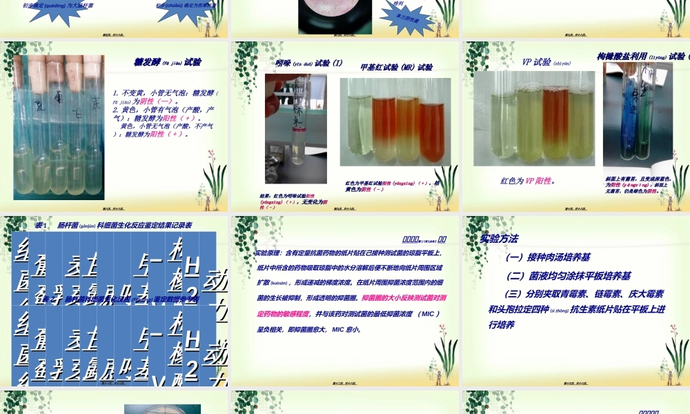 2022年医学专题—肠杆菌科细菌鉴定.ppt