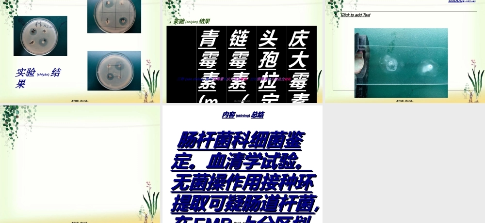 2022年医学专题—肠杆菌科细菌鉴定.ppt