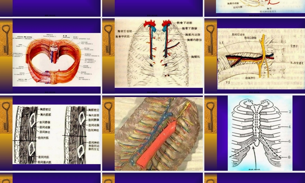 2022年医学专题—胸前区、腋区.ppt