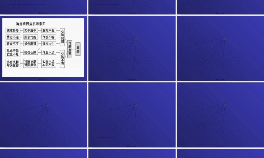 2022年医学专题—胸痹.ppt