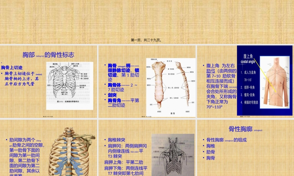 2022年医学专题—胸部的骨与关节.pptx