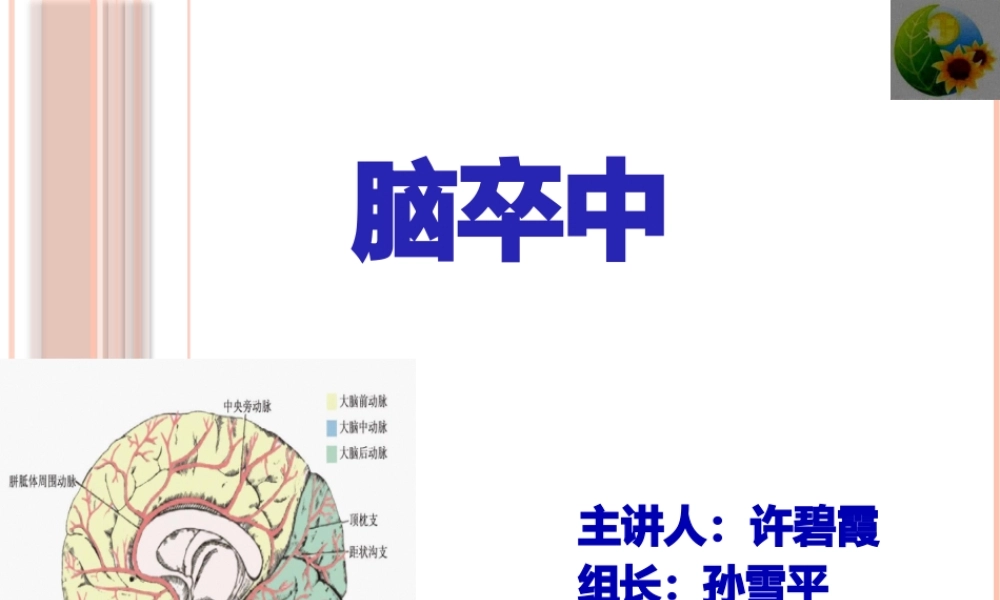 2022年医学专题—脑卒中-终.pptx