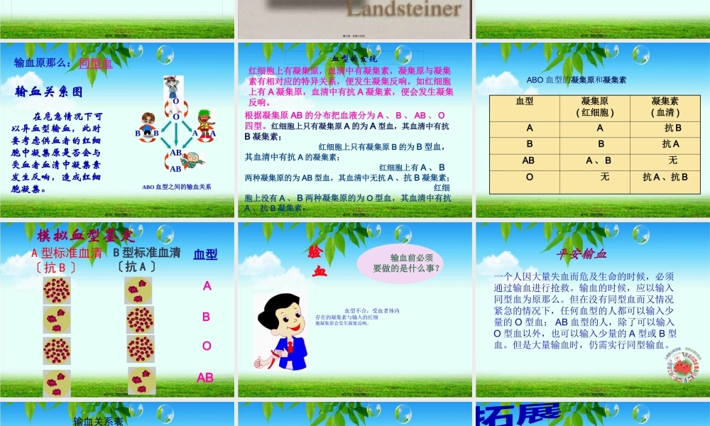 4.4-第四节--输血与血型.pptx