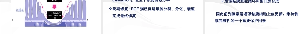 NSAIDs所致消化道粘膜损伤的防治.ppt