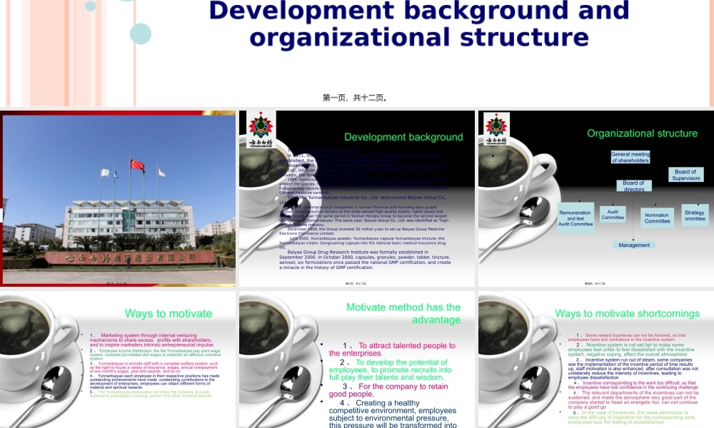 云南白药集团股份有限公司英文版.pptx