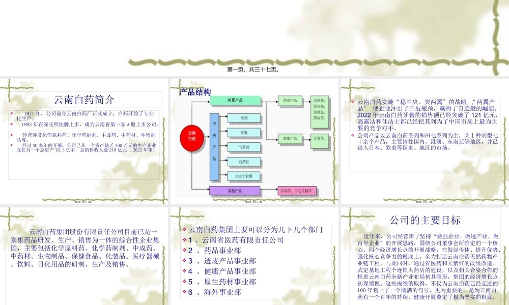 云南白药案例分析.pptx