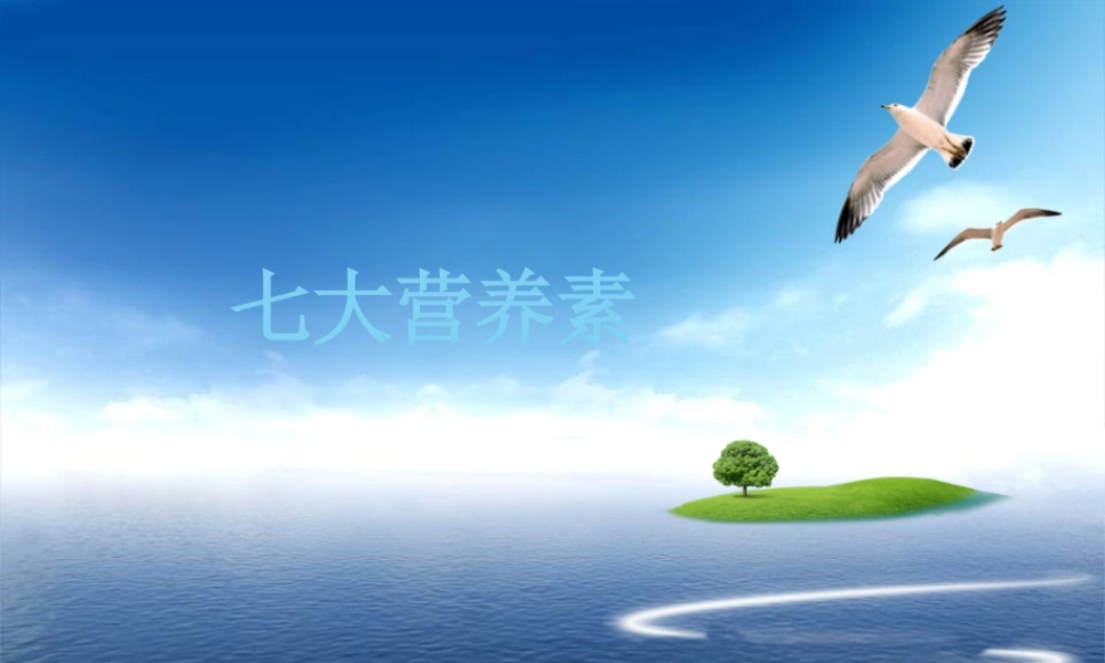 人体必须的七大营养素.pptx