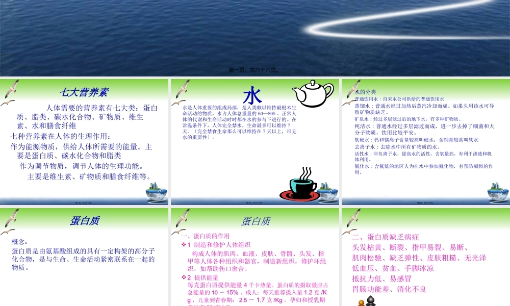 人体必须的七大营养素.pptx