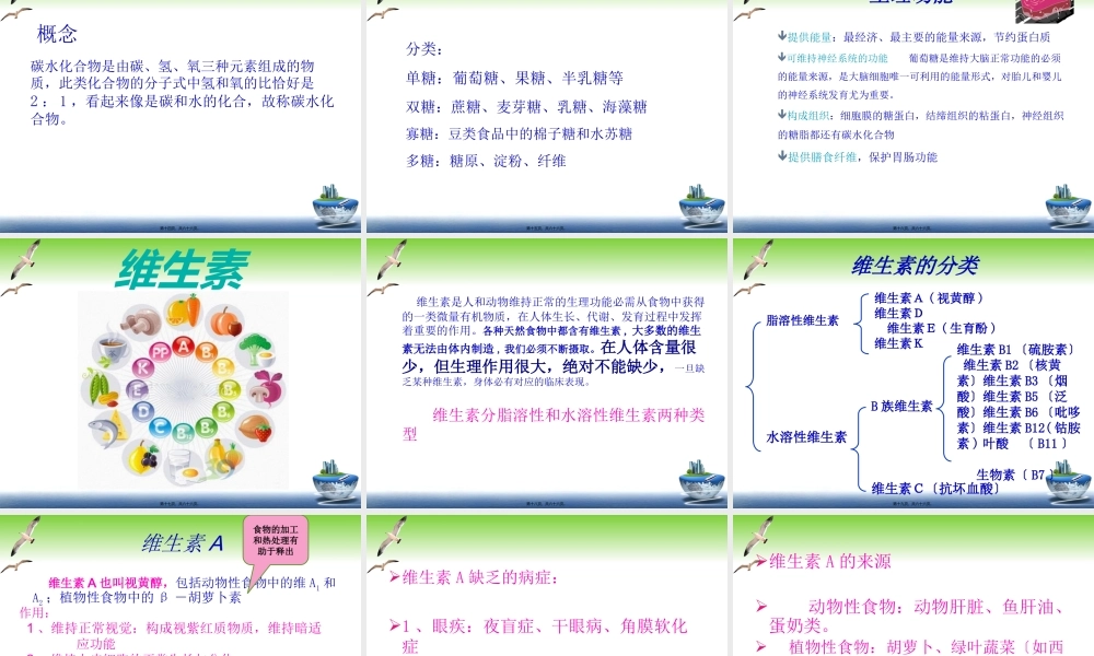 人体必须的七大营养素.pptx