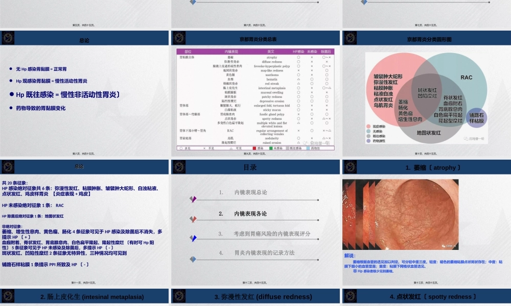 京都胃炎分类探析.ppt