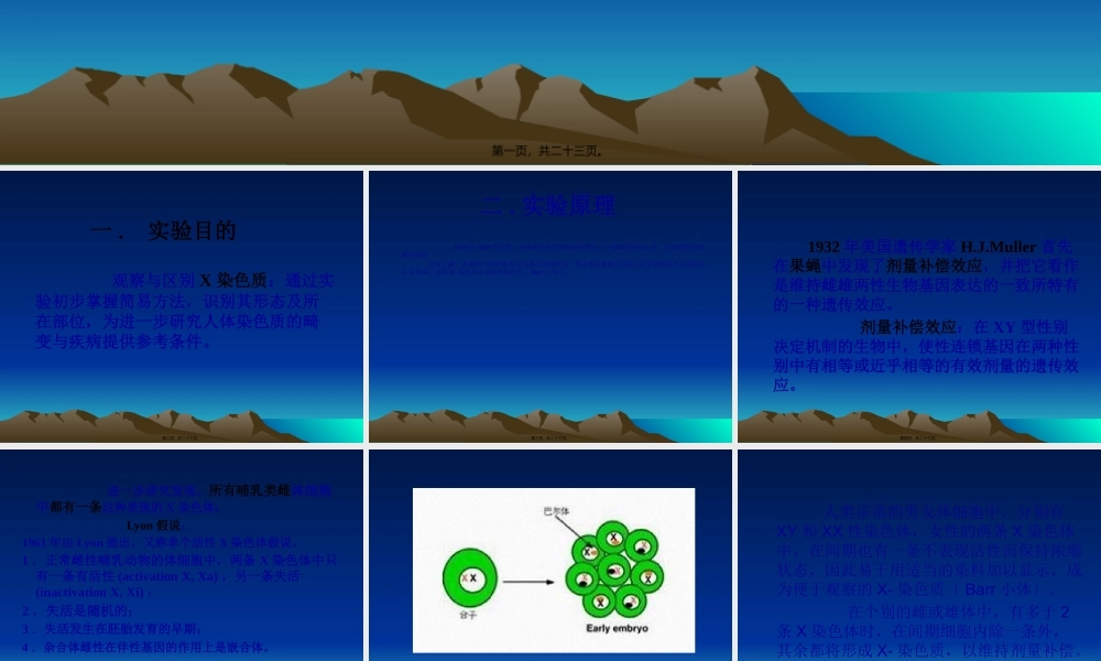 人体X—染色质的观察.pptx