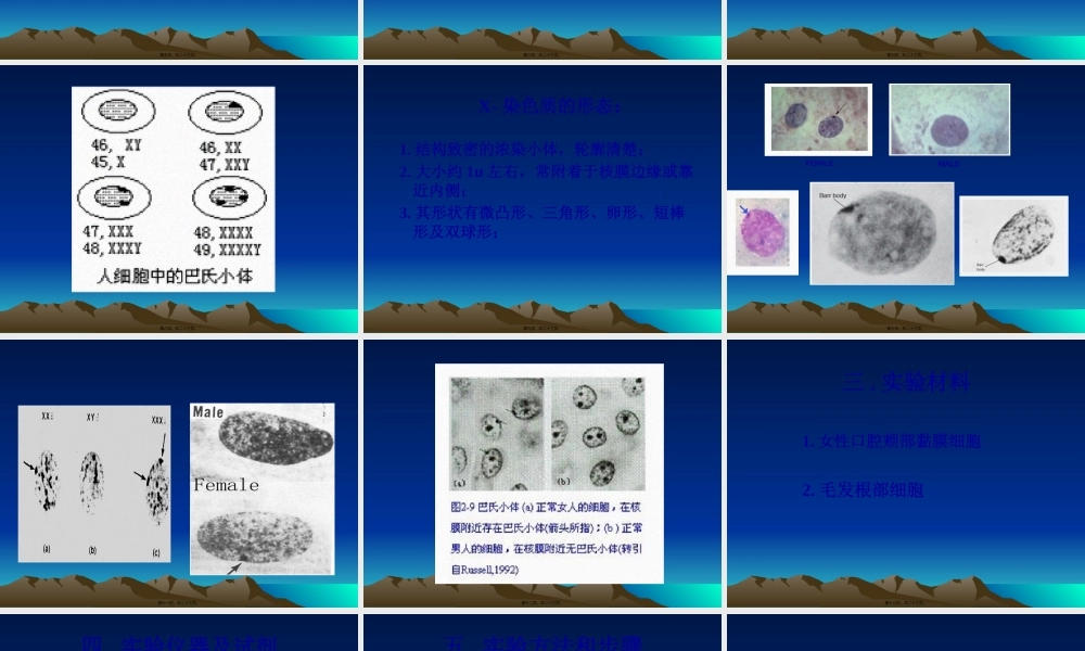 人体X—染色质的观察.pptx