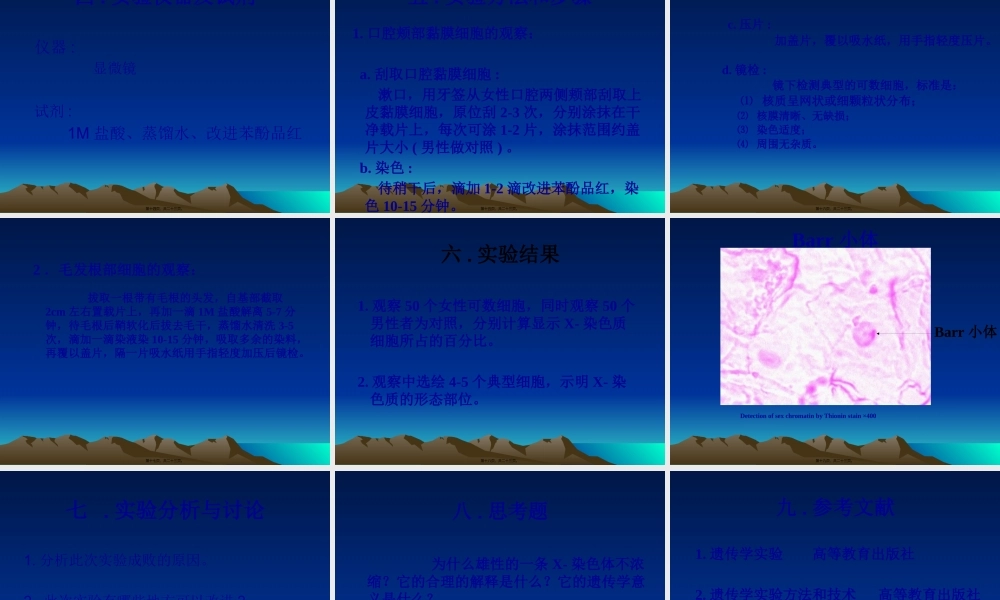 人体X—染色质的观察.pptx