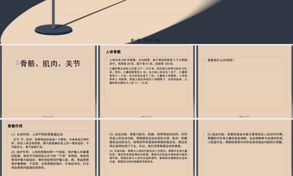 人体骨骼、肌肉、关节.pptx